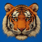 302- faux embroidered tiger head