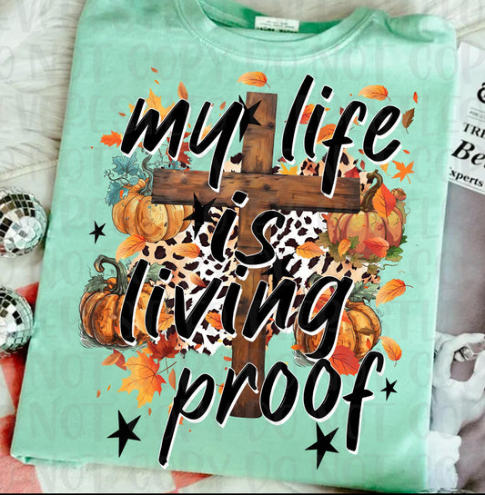 233 my life is living proof