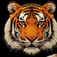 302- faux embroidered tiger head