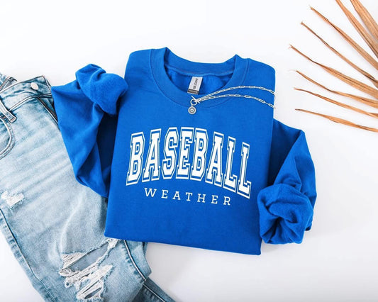 355-Baseball Weather