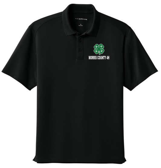 Morris County 4H Polo