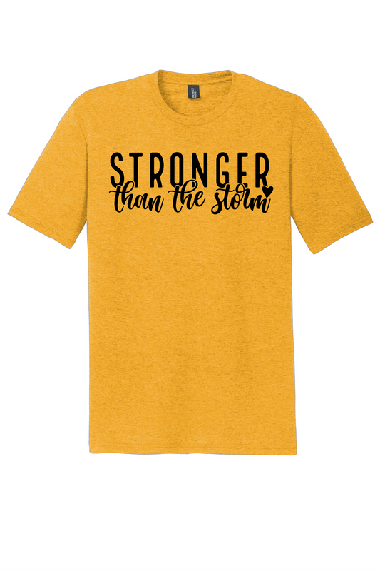 TRANSFER - Stronger than the Storm
